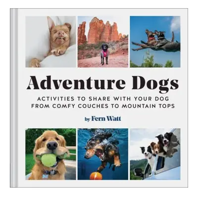 Adventure Dogs, Activities to Share with Your DogÂ—from Comfy Couches to Mountain Tops