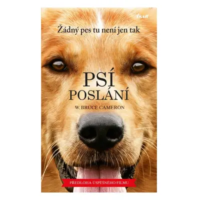 Psí poslání