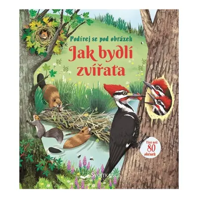 Jak bydlí zvířata - Podívej se pod obrázek