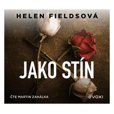 Jako stín (audiokniha)