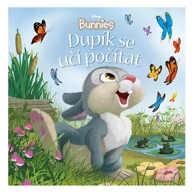 Disney Bunnies - Dupík se učí počítat