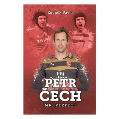 Petr Čech: Mr. Perfect