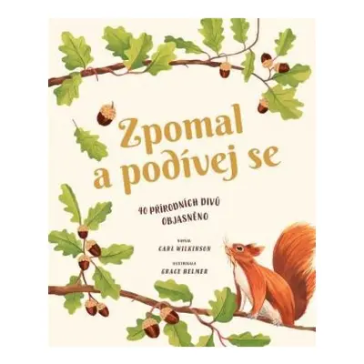 Zpomal a podívej se