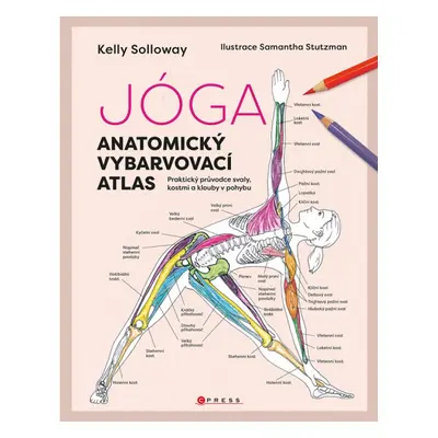 Jóga - anatomický vybarvovací atlas