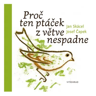 Proč ten ptáček z větve nespadne