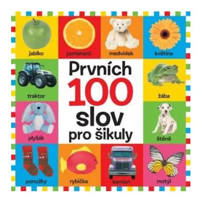 Prvních 100 slov pro šikuly