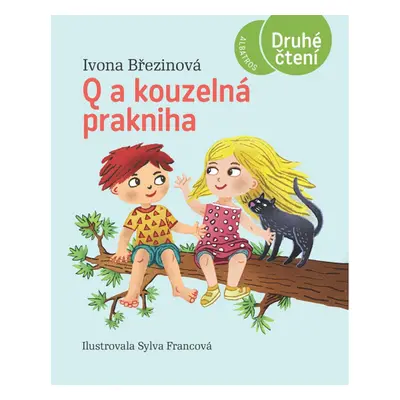 Q a kouzelná prakniha