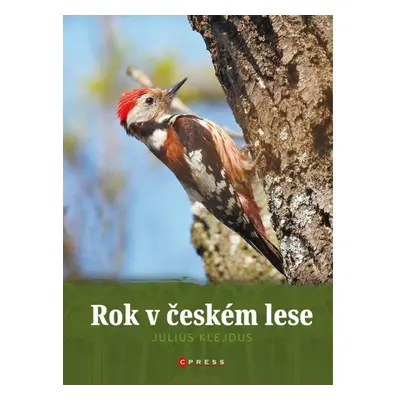 Rok v českém lese