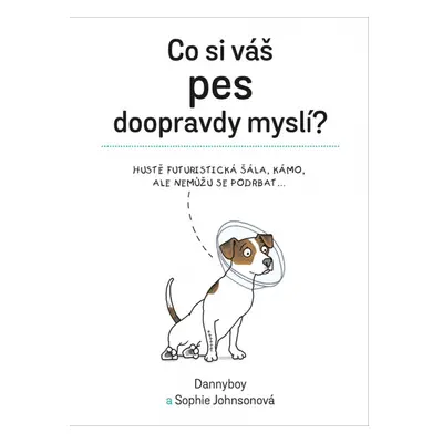 Co si váš pes doopravdy myslí