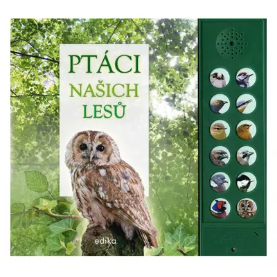 Ptáci našich lesů