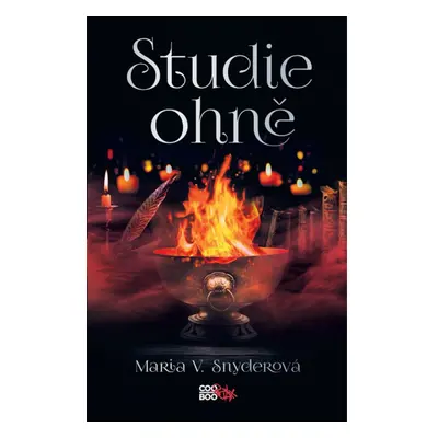 Studie ohně