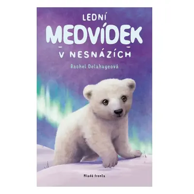 Lední medvídek v nesnázích