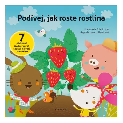 Podívej, jak roste rostlina