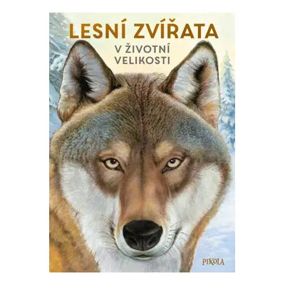 Lesní zvířata: V životní velikosti