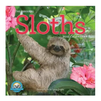 Original Sloths Wall Calendar 2025, The Ultimate Experts at Slowing Down