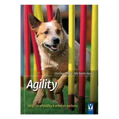 Agility - Od první překážky k velkému parkuru