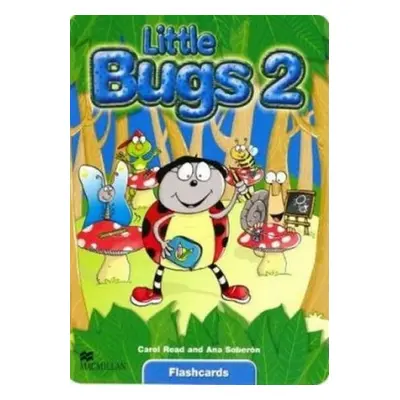 Little Bugs 2 Flashcards Macmillan