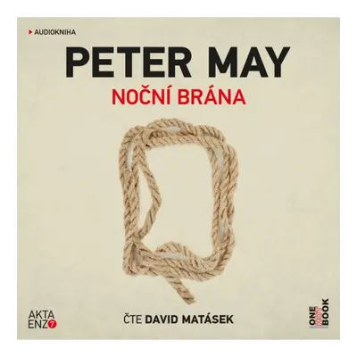 Noční brána - 2 CDmp3 (Čte David Matásek) Radioservis a. s.