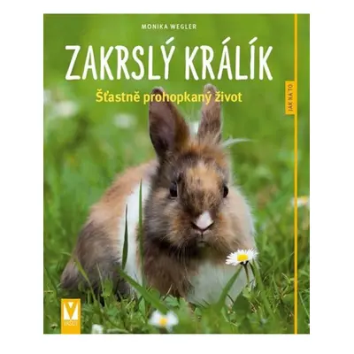 Zakrslý králík: Šťastně prohopkaný život - Jak na to Jan Vašut s.r.o.