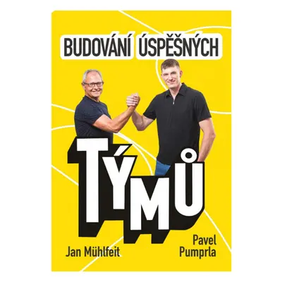 Budování úspěšných týmů MANAGEMENT PRESS