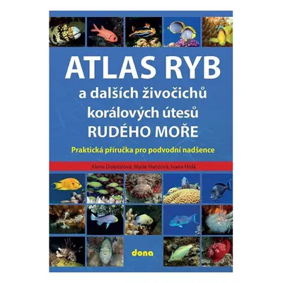 Atlas ryb a dalších živočichů korálových útesů Rudého moře - Praktická příručka pro vodní nadšen