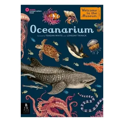 Oceanarium Templar Publishing