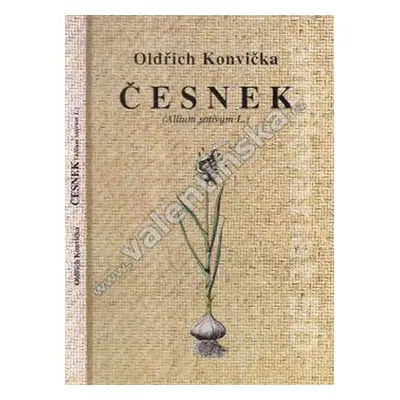 Česnek (Allium sativum L.) FONTÁNA ESOTERA, s.r.o.