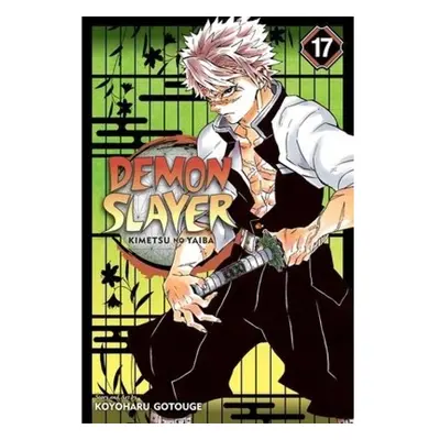 Demon Slayer: Kimetsu no Yaiba, Vol. 17 Viz Media, Subs. of Shogakukan Inc