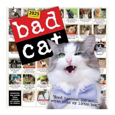 Bad Cat Wall Calendar 2025, Celebrating the Misfits of the Feline World Workman Publishing