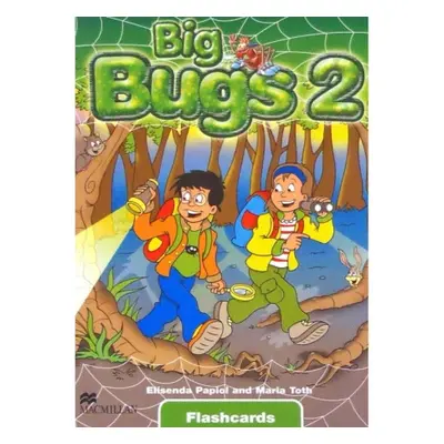 Big Bugs 2 Flashcards Macmillan