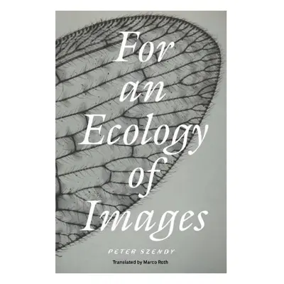 For an Ecology of Images Verso Books