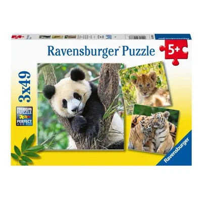 Panda, tygr a lev 3x49 dílků Ravensburger