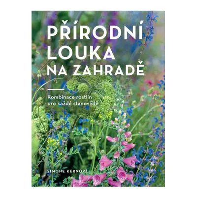 Přírodní louka na zahradě Euromedia Group, a.s.