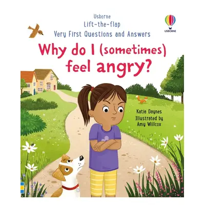 Very First Questions and Answers: Why do I (sometimes) feel angry? Usborne Publishing