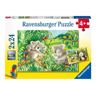 Roztomilé koaly a pandy 2x24 dílků Ravensburger