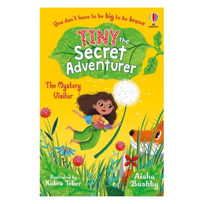 Tiny the Secret Adventurer: The Mystery Visitor Usborne Publishing