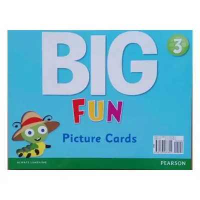 Big Fun 3 Picture Cards Pearson