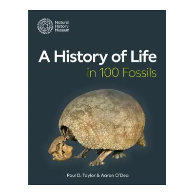 History of Life in 100 Fossils The Natural History Museum