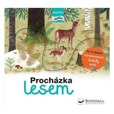 Procházka lesem - následuj cestu Svojtka & Co. s. r. o.