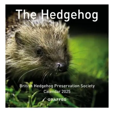 The Hedgehog Calendar 2025 Graffeg Limited