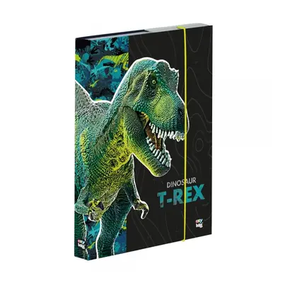 Box na sešity A5 Premium Dinosaurus KARTONPP