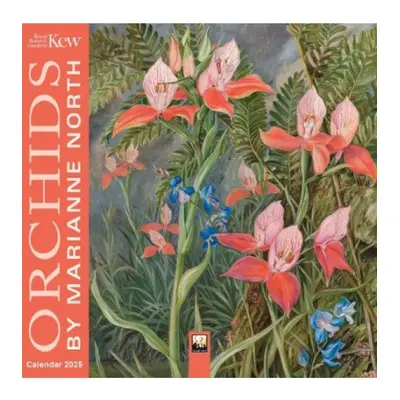 Kew Gardens: Orchids by Marianne North Mini Wall Calendar 2025 (Art Calendar) Flame Tree Publish