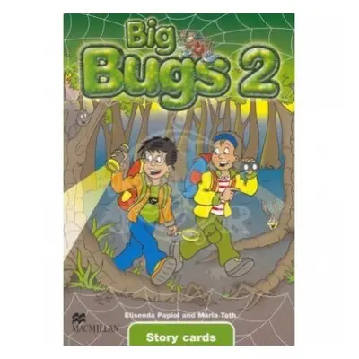 Big Bugs 2 Story Cards Macmillan