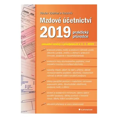 Mzdové účetnictví 2019 - praktický průvodce GRADA Publishing, a. s