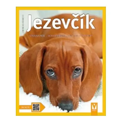 Jezevčík - Jak na to Jan Vašut s.r.o.