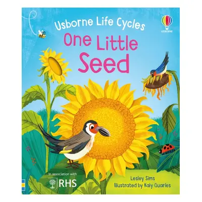 One Little Seed Usborne Publishing