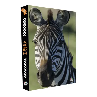 Box na sešity A4 Jumbo Zebra KARTONPP