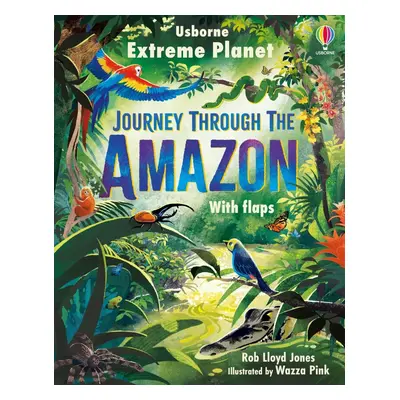 Extreme Planet: Journey Through The Amazon Usborne Publishing