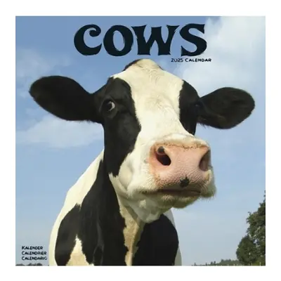 Cows Calendar 2025 Square Farm Animal Wall Calendar - 16 Month Avonside Publishing Ltd