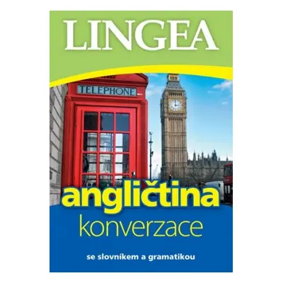 Česko-anglická konverzace Lingea